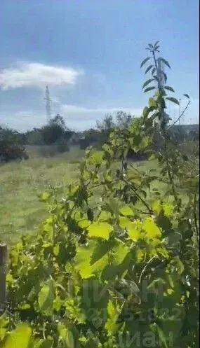 Участок в Крым, Саки Химик-1 СНТ, 2/40 (4.58 сот.) - Фото 1