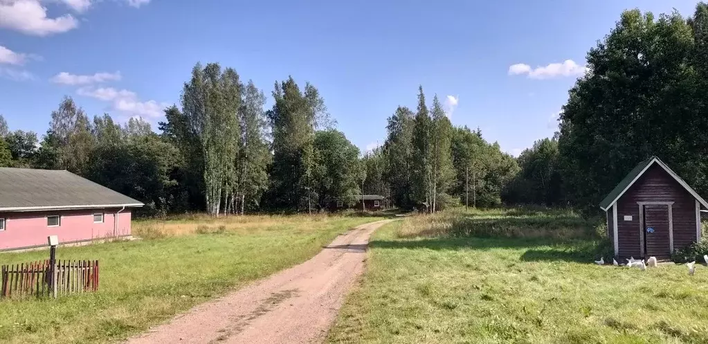 Дом в Ленинградская область, Выборгский район, Селезневское с/пос, ... - Фото 1