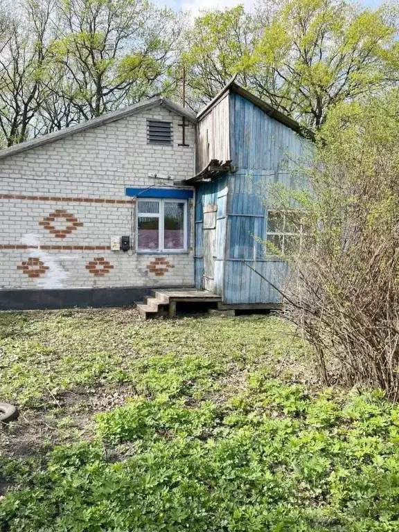 Дом в Белгородская область, с. Красное ул. Имени Светличной, 12 (87 м) - Фото 2