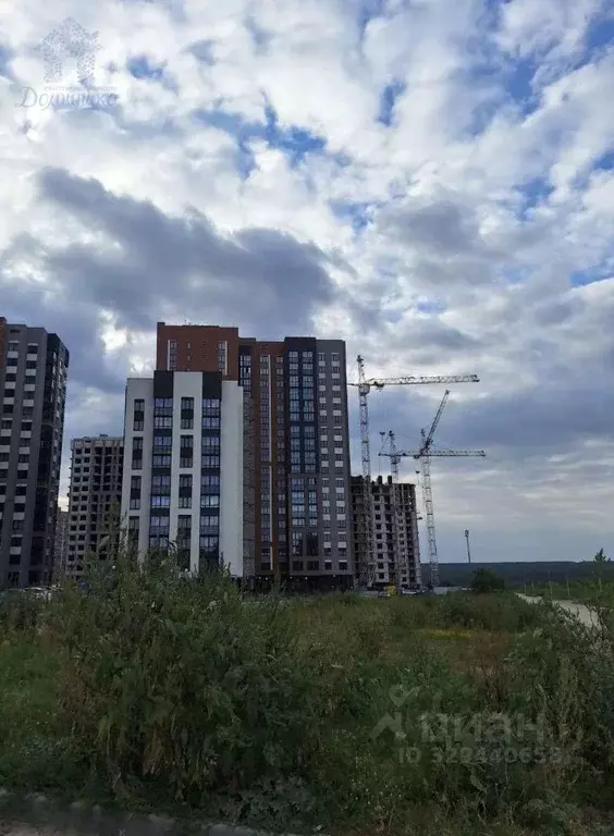 Студия Воронежская область, Воронеж Острогожская ул., 156/3 (25.54 м) - Фото 2