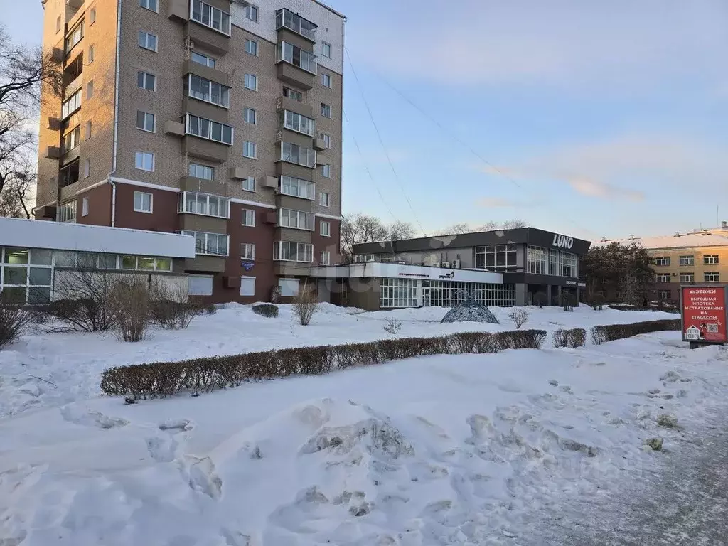 Офис в Амурская область, Благовещенск ул. 50 лет Октября, 8 (169 м) - Фото 1