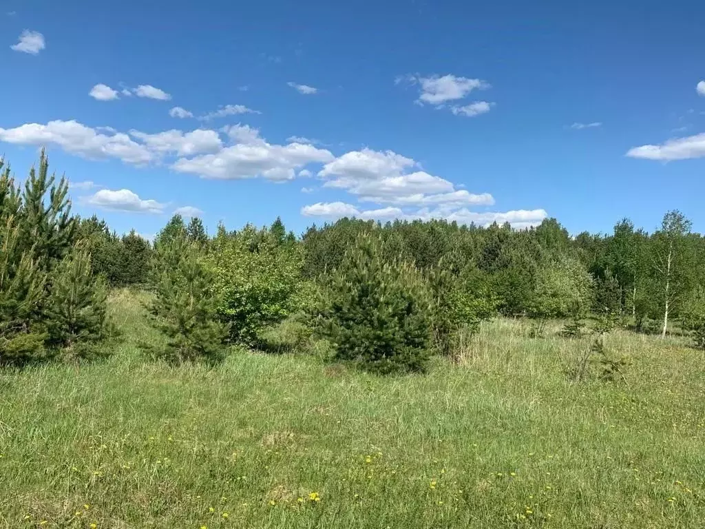 Участок в Свердловская область, Сысертский городской округ, пос. ... - Фото 1