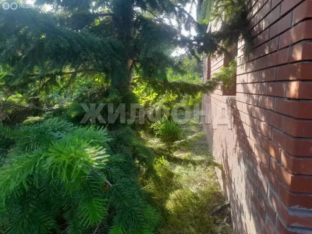 Дом в Новосибирск, СНТ Труд-2 (24 м) - Фото 1