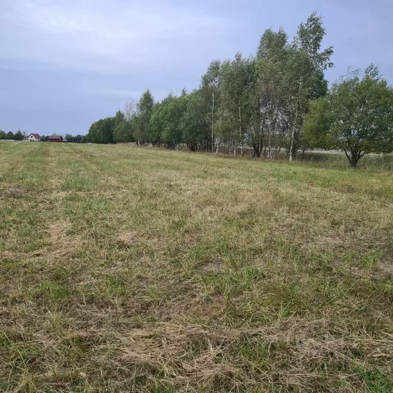 Участок, 7 сот., поселения (ижс) - Фото 1