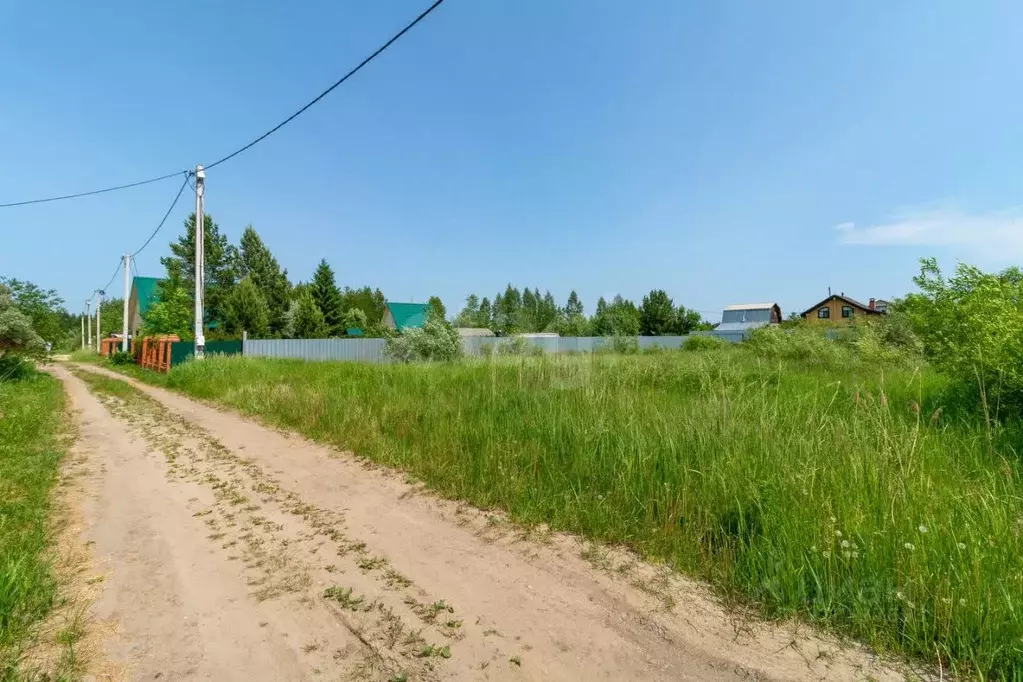 Участок в Тюменская область, Тюмень Садовое товарищество Липовый ... - Фото 0