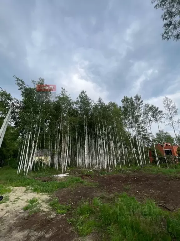 Участок в Рязанская область, Рязанский район, Заборьевское с/пос, с. ... - Фото 2
