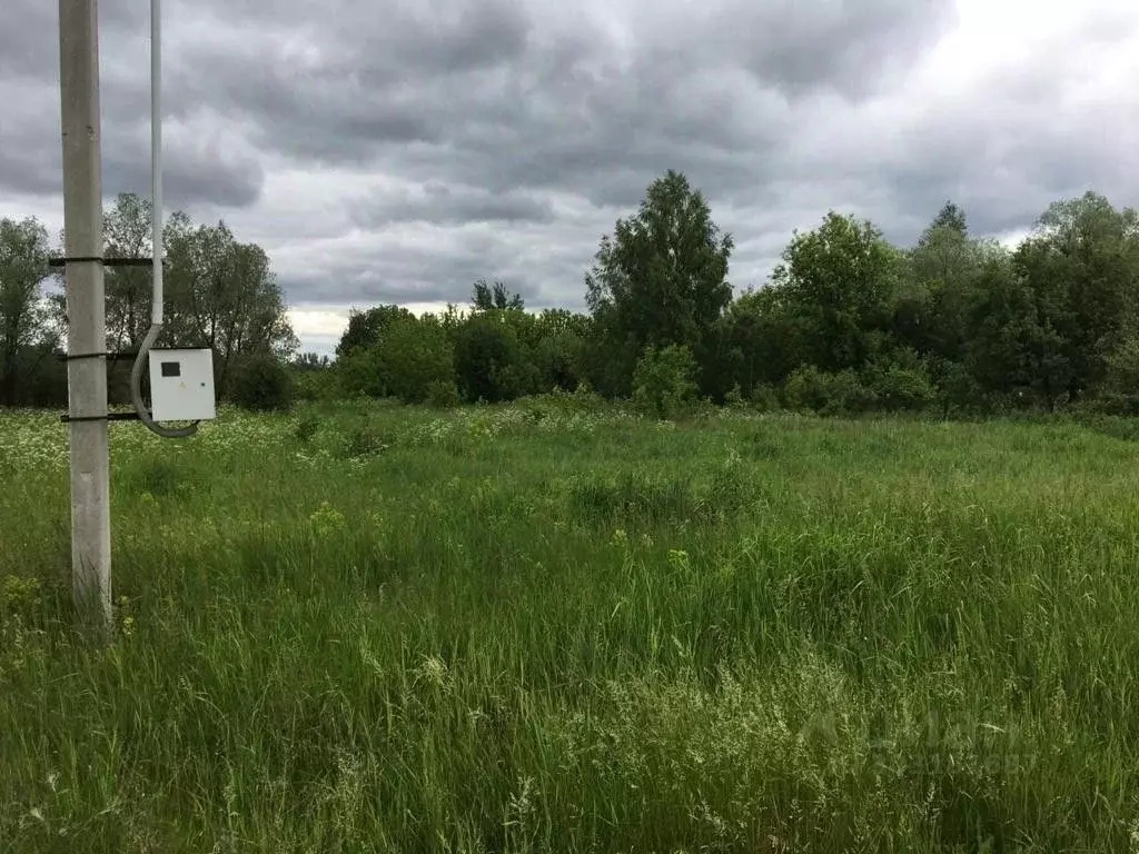 Участок в Московская область, Егорьевск городской округ, д. Алферово  ... - Фото 1