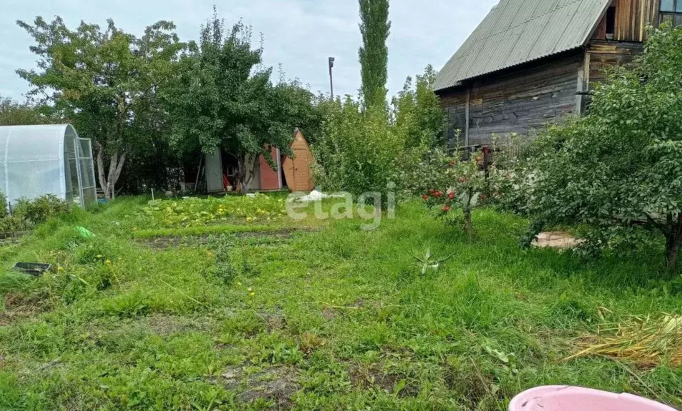 Участок в Челябинская область, Челябинск Станкостроитель-3 СНТ, ул. ... - Фото 0