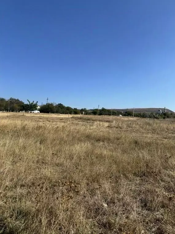 Участок в Крым, Феодосия муниципальный округ, с. Насыпное  (6.2 сот.) - Фото 2