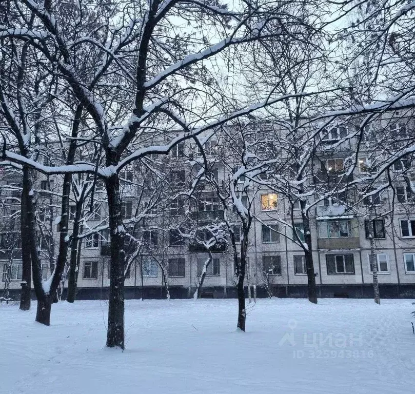 1-к кв. Санкт-Петербург Бухарестская ул., 72К2 (30.6 м) - Фото 1