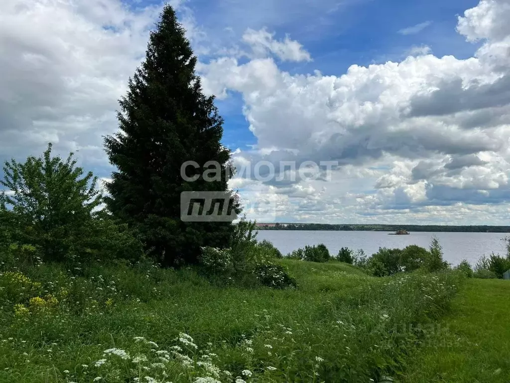 Участок в Ярославская область, Угличский муниципальный округ, д. ... - Фото 0
