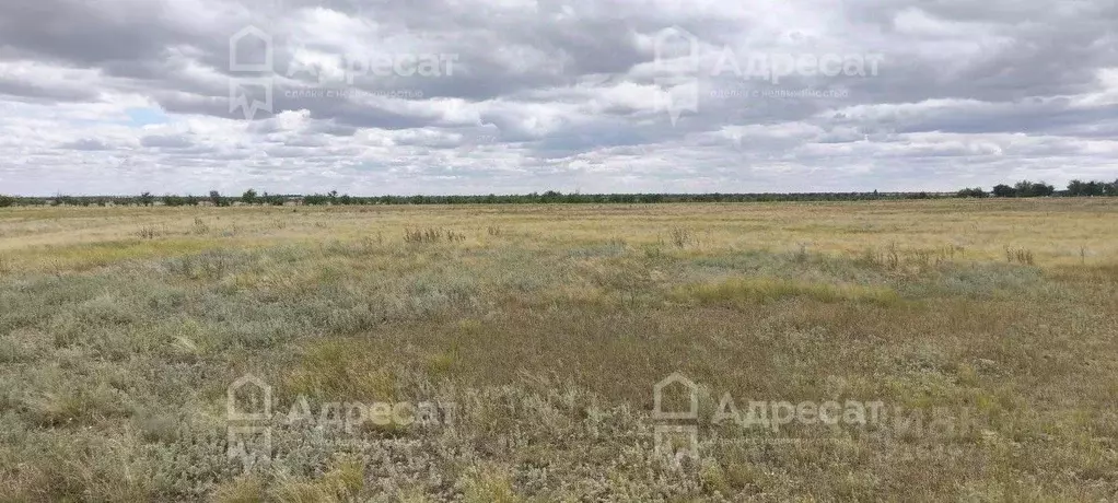 Участок в Волгоградская область, Волгоград Село Песчанка тер., ул. ... - Фото 1