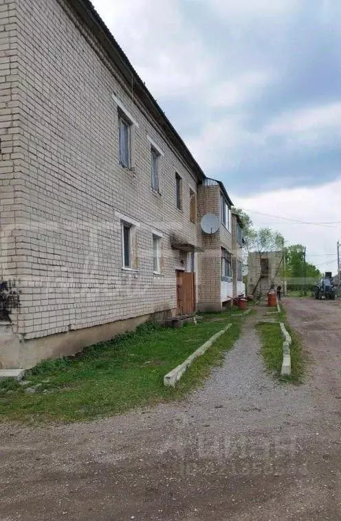 2-к кв. Амурская область, Благовещенский район, с. Дроново Новый пер., ... - Фото 1