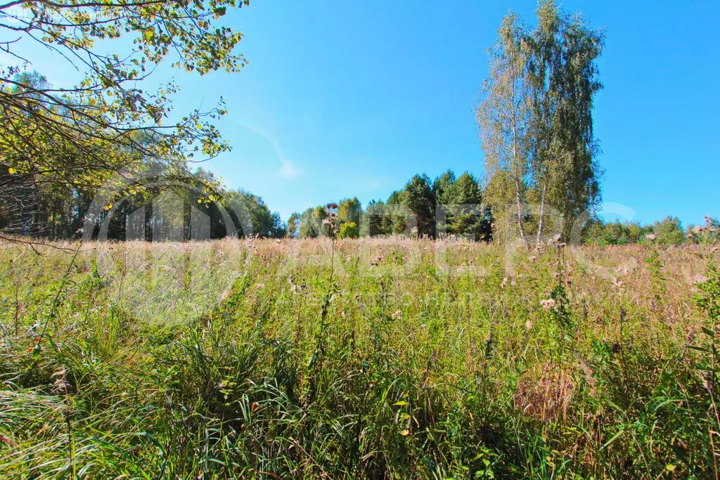 Участок в Владимирская область, округ Муром, деревня Новое Ратово (30 ... - Фото 1