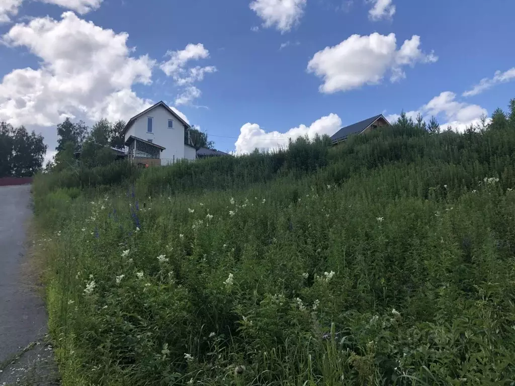 Участок в Новосибирская область, Новосибирский район, Каменский ... - Фото 2