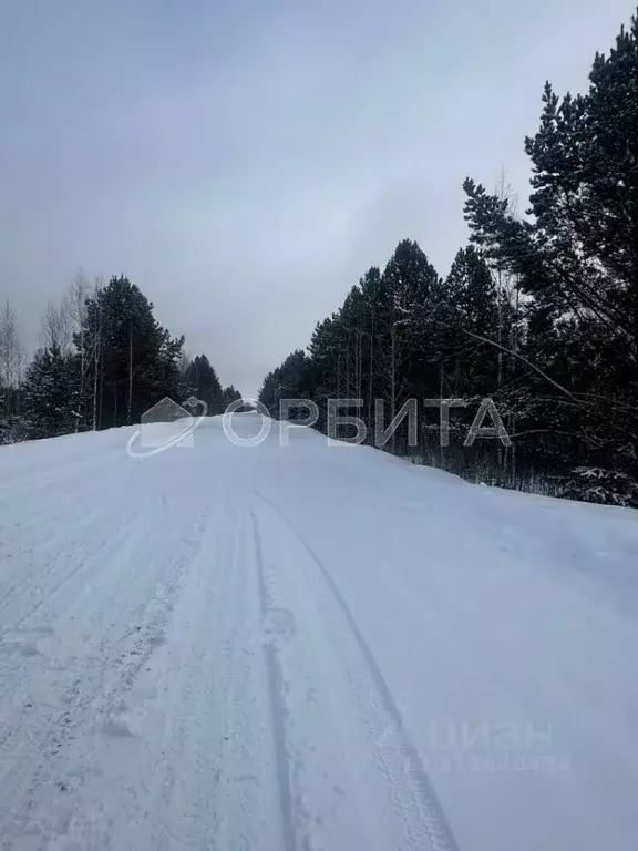 Участок в Тюменская область, Нижнетавдинский район, д. Аракчина  (8.52 ... - Фото 0