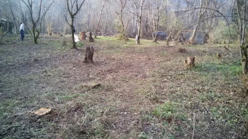 Участок в Краснодарский край, Сириус пгт ул. Энергетиков (7.37 сот.) - Фото 2