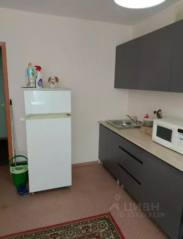 1-к кв. Нижегородская область, Бор ул. Максима Горького, 62/4 (39.0 м) - Фото 1