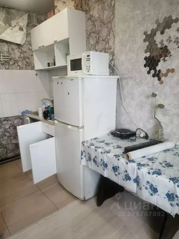 Студия Красноярский край, Красноярск ул. Калинина, 12 (19.0 м) - Фото 1