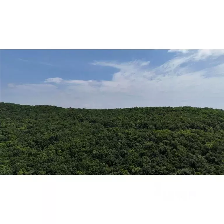 3-к кв. Приморский край, Владивосток ул. Нейбута (65.6 м) - Фото 2