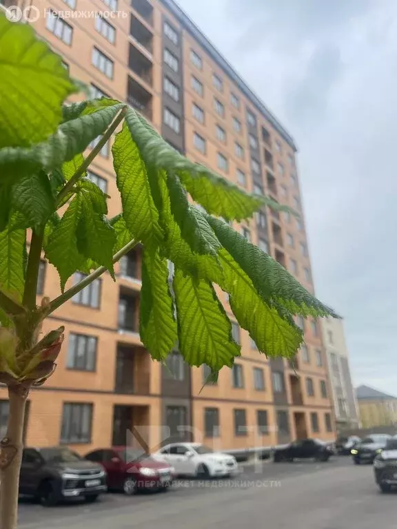 2-комнатная квартира: Махачкала, улица Лизы Чайкиной, 65 (52 м) - Фото 2