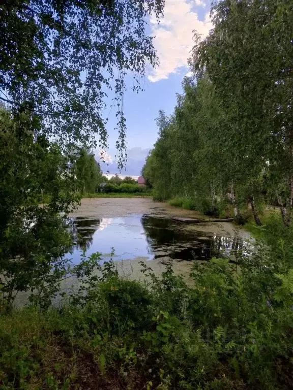 Дом в Нижегородская область, Бор Успех СНТ, 28 (24 м) - Фото 1