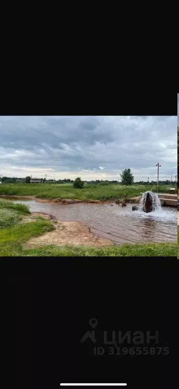 Участок в Новгородская область, Старая Русса ул. Возрождения (1040.11 ... - Фото 0