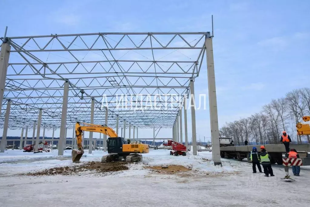 Склад в Московская область, Домодедово городской округ, д. Шахово 60 ... - Фото 1