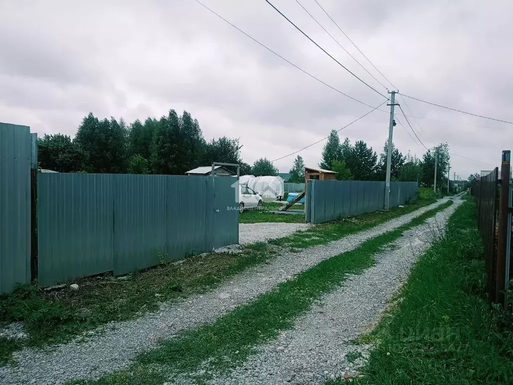 Участок в Новосибирская область, Бердск Росинка СНТ, ул. 14-я (5.3 ... - Фото 1