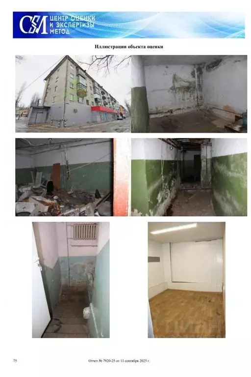 Помещение свободного назначения в Воронежская область, Воронеж ... - Фото 1