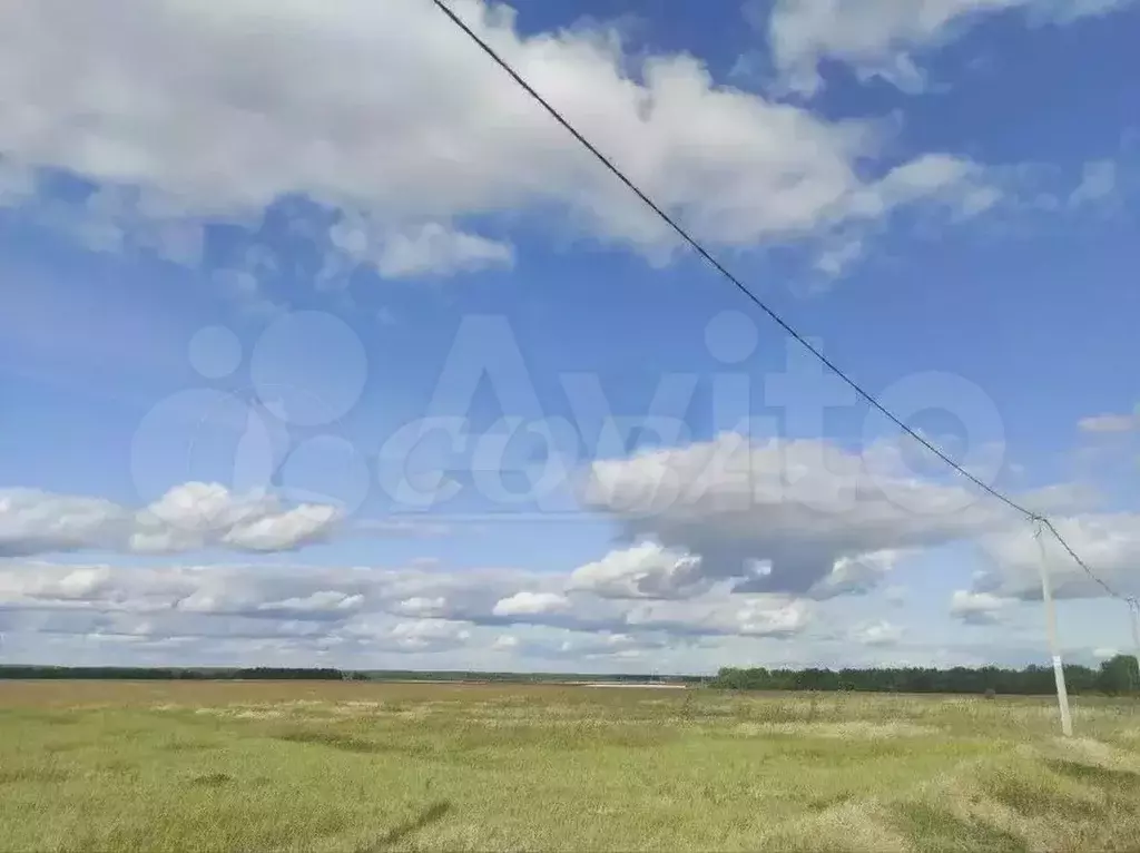 Участок 11,5 сот. (СНТ, ДНП) - Фото 1