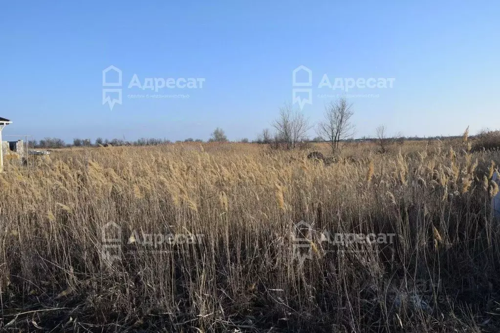 Участок в Волгоградская область, Краснослободск Среднеахтубинский ... - Фото 1