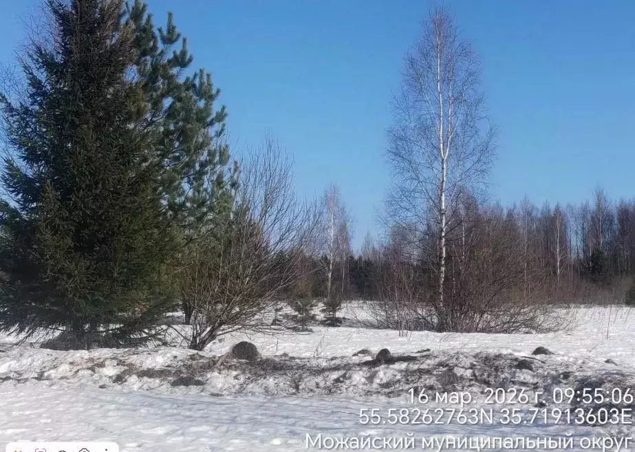 Участок в Московская область, Можайский муниципальный округ, д. ... - Фото 1
