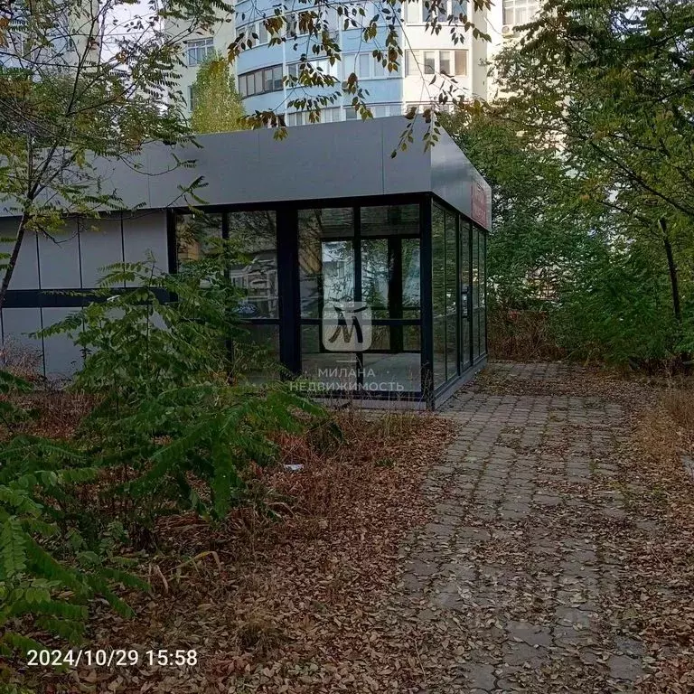 Торговая площадь в Оренбургская область, Оренбург ул. Терешковой, ... - Фото 0