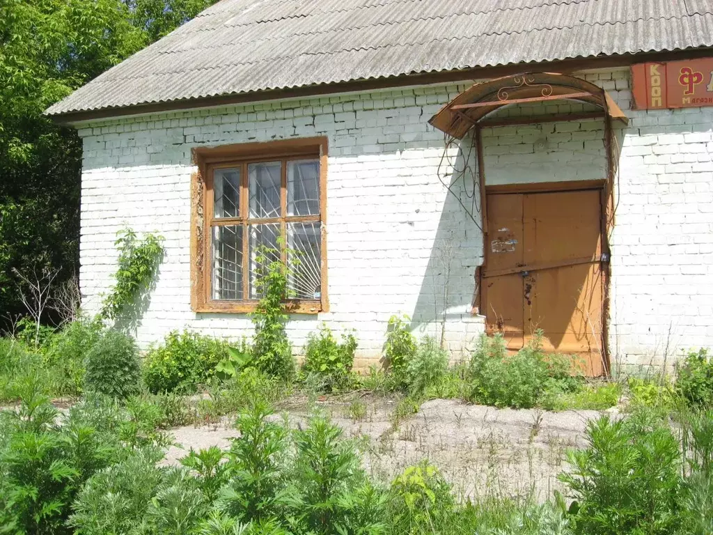 Помещение свободного назначения в Рязанская область, Скопинский район, ... - Фото 0