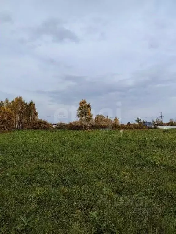 Участок в Тюменская область, Тюменский муниципальный округ, ... - Фото 0