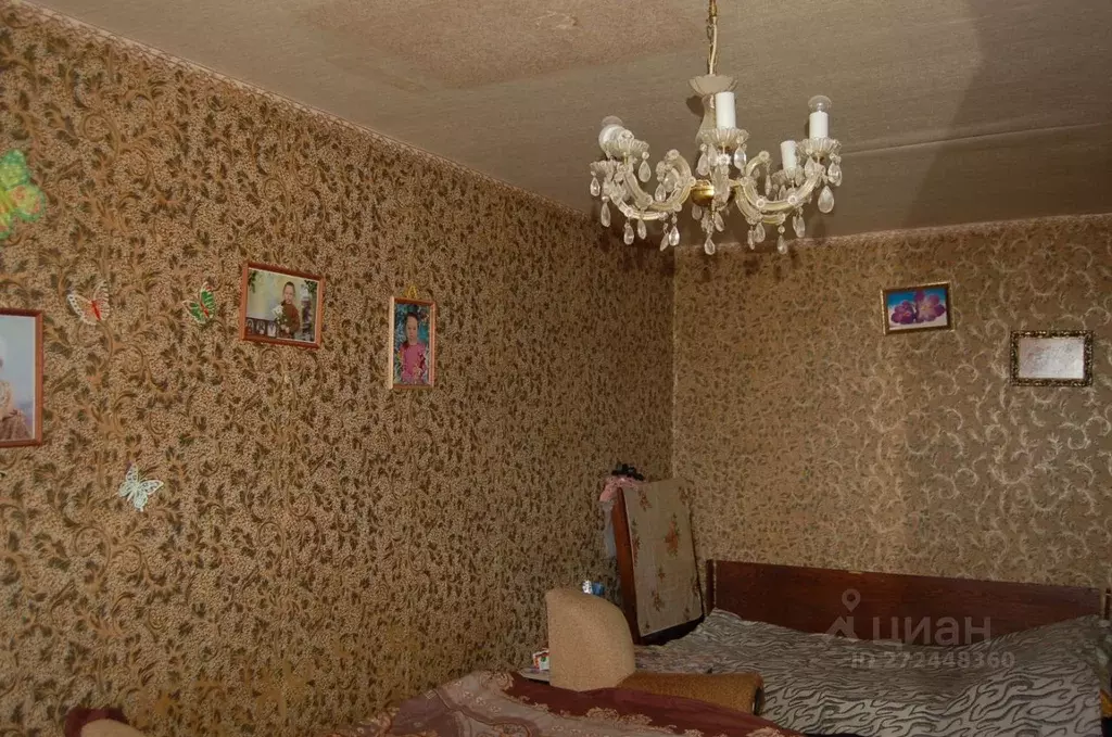 1-к кв. Нижегородская область, Володарский муниципальный округ, ... - Фото 2