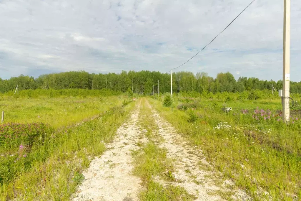 Участок в Тюменская область, Тюменский муниципальный округ, с. Кулига ... - Фото 1