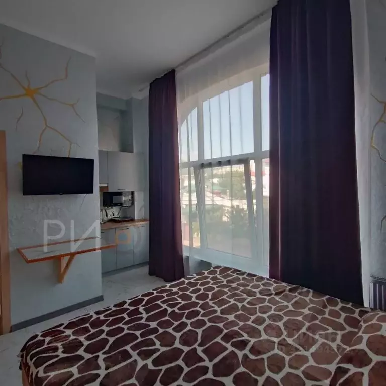 Студия Крым, Алушта ул. Багликова, 21 (16.0 м) - Фото 1