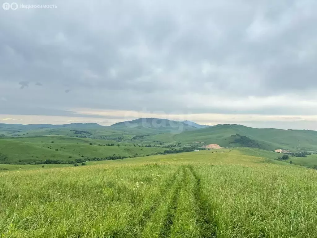 Участок в Алтайский район, ДНТ Жемчужина Алтая (10.15 м) - Фото 0