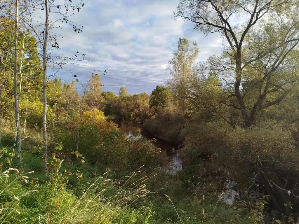 Участок в Новгородская область, Старорусский район, Новосельское ... - Фото 2