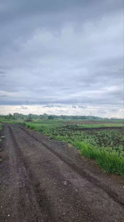 Участок 6 сот. (СНТ, ДНП) - Фото 0