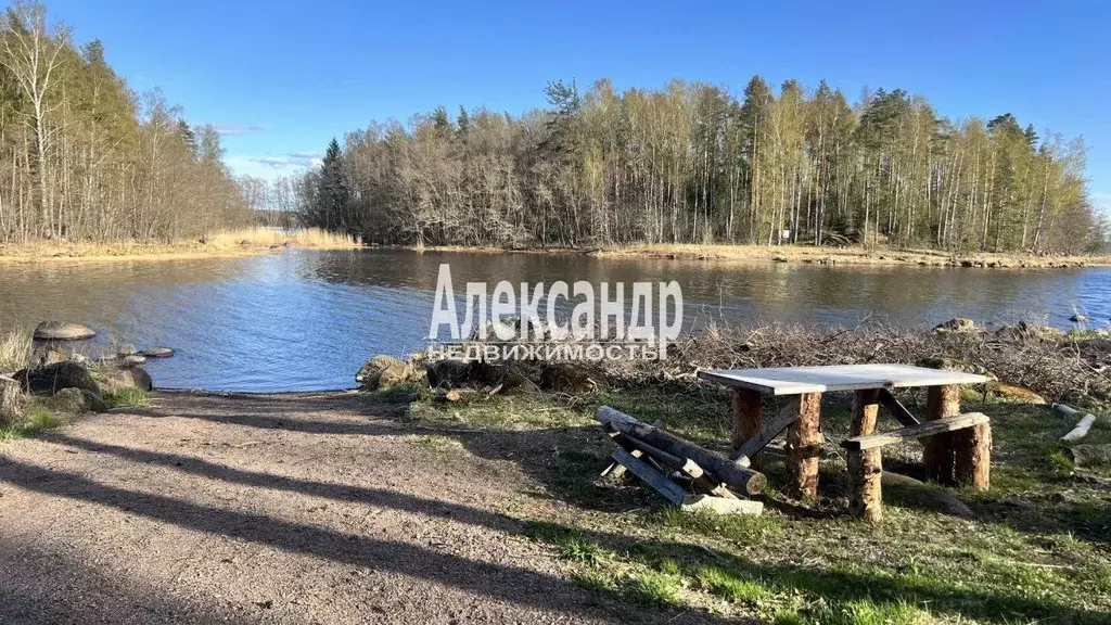 Участок в Ленинградская область, Выборгский район, Селезневское с/пос, ... - Фото 2