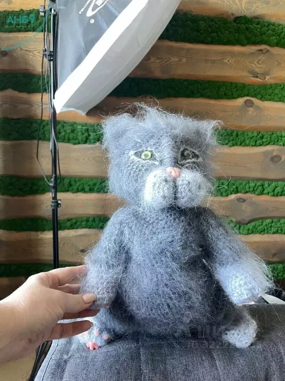 Коттедж в Новосибирская область, Новосибирск Тулинское заречье кп, 102 ... - Фото 2