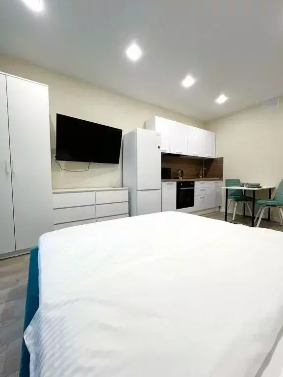 1-к кв. Краснодарский край, Сочи ул. Искры, 88к3 (27.0 м) - Фото 1