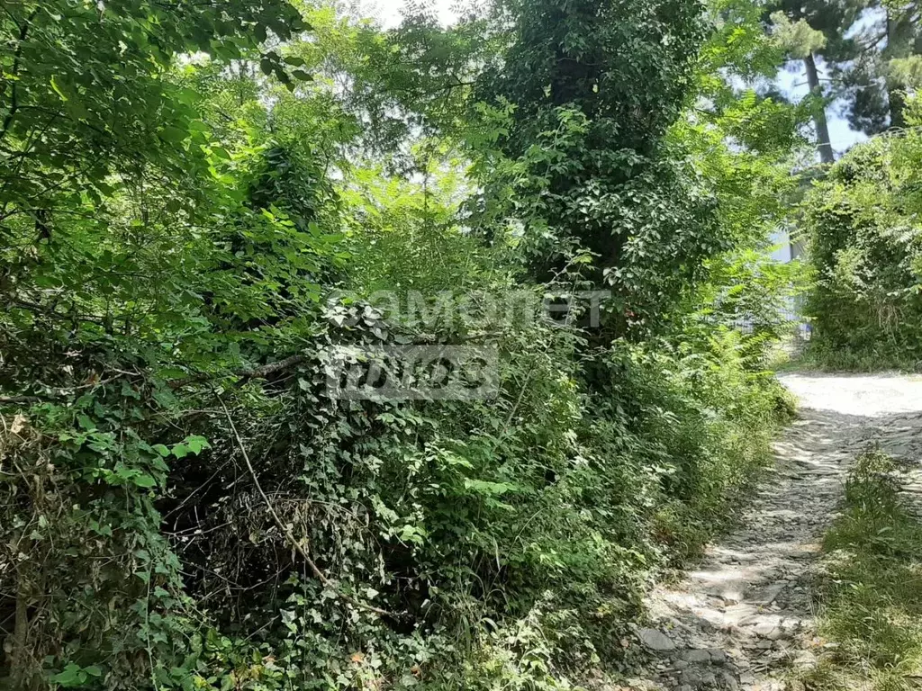 Участок в Краснодарский край, Туапсинский муниципальный округ А-147, ... - Фото 1