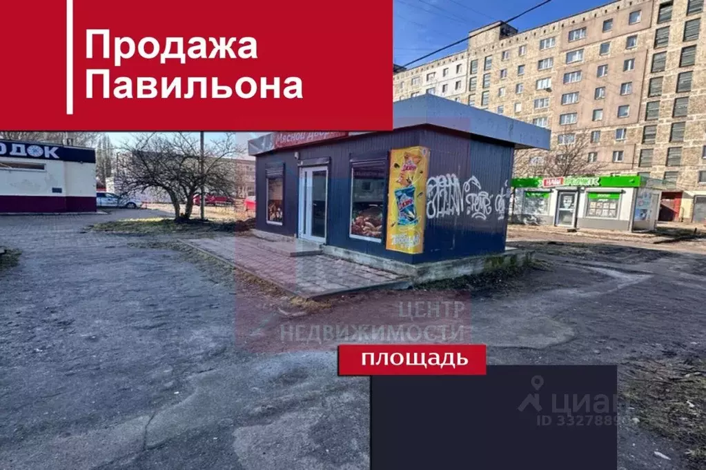 Помещение свободного назначения в Калининградская область, Калининград ... - Фото 1
