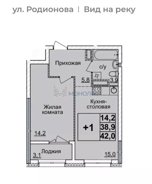 1-к кв. Нижегородская область, Нижний Новгород ул. Родионова, 31 (42.0 ... - Фото 1