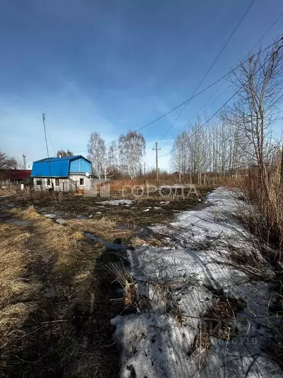 Дом в Кемеровская область, Мыски Отрадная ул., 14 (19 м) - Фото 0