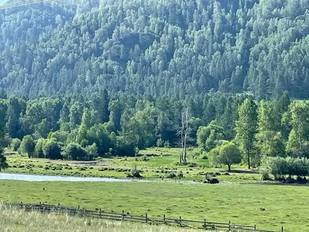 Участок в Алтай, с. Онгудай  (15.0 сот.) - Фото 1